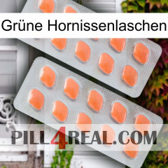 Grüne Hornissenlaschen 27